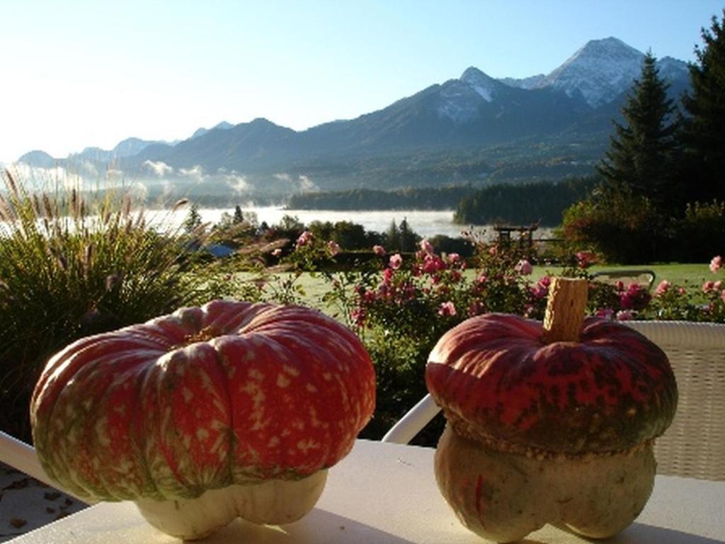 Hotel Schoenruh Drobollach am Faakersee Εξωτερικό φωτογραφία